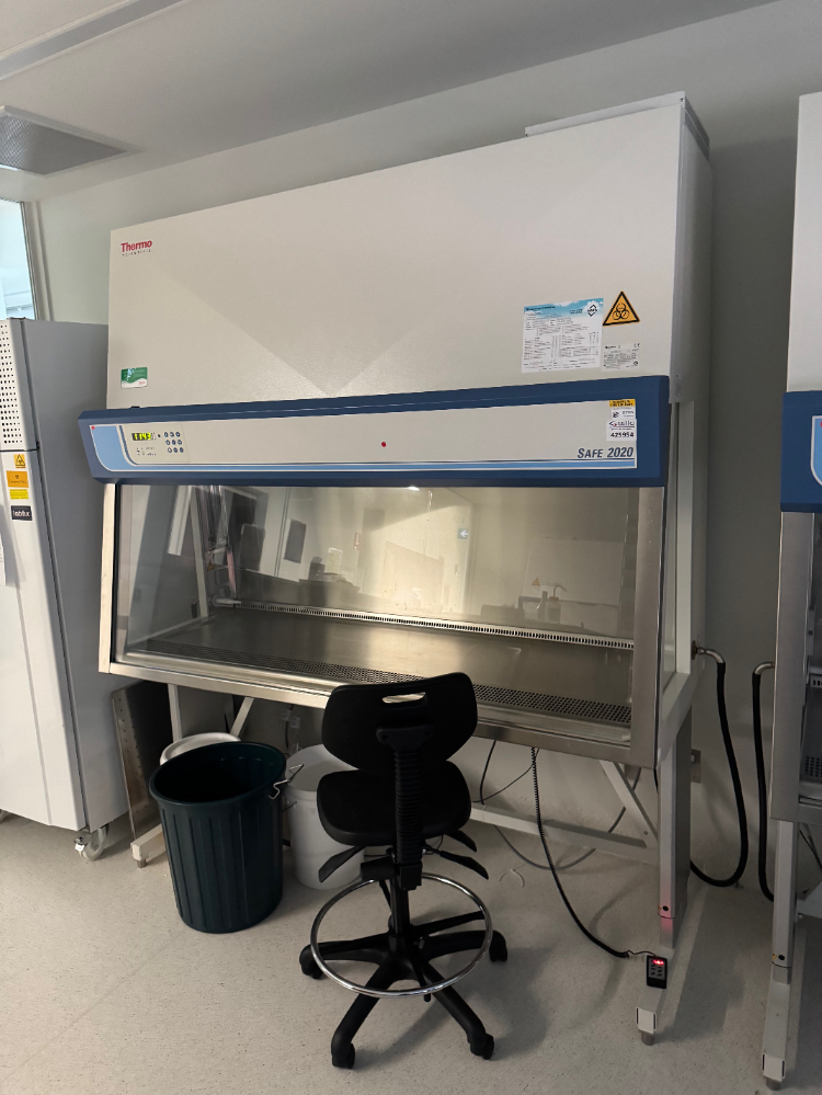 Image of Thermo Safe 2020 6' BioSafety Cabinet